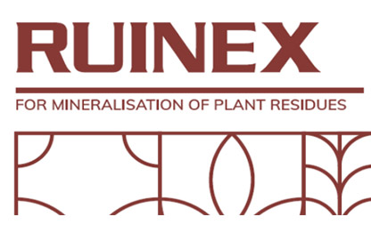 ruinex