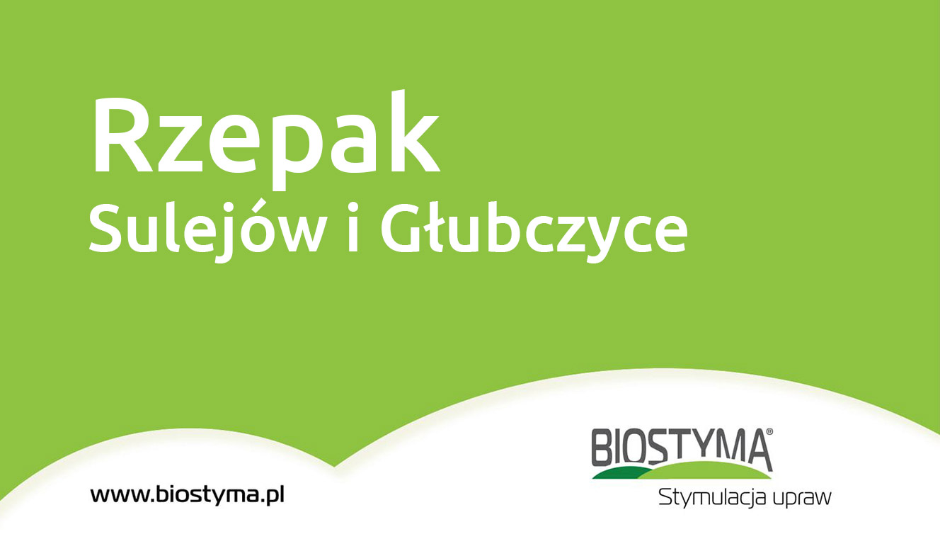 sulejów-i-głubczyce